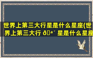 世界上第三大行星是什么星座(世界上第三大行 🪴 星是什么星座的)